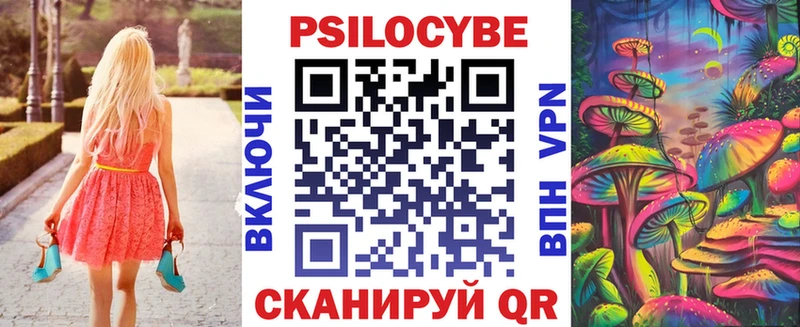 Галлюциногенные грибы Psilocybe  даркнет сайт  кракен как войти  Калач 